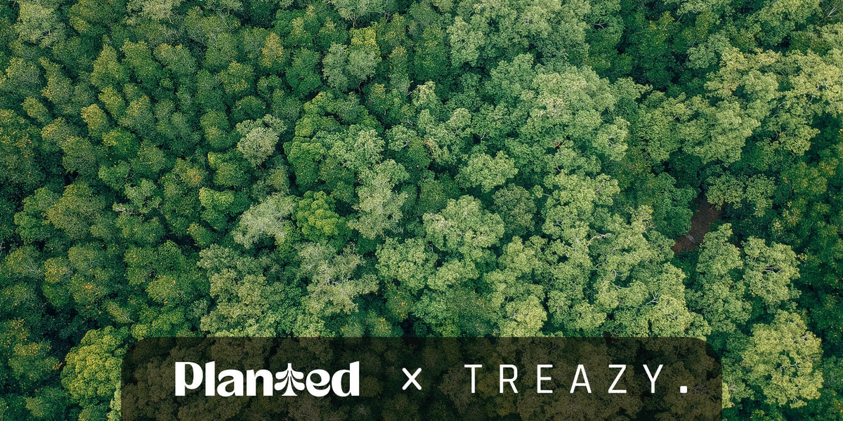 TREAZY. Partnerschaft mit Planted für Waldschutz und Nachhaltigkeit